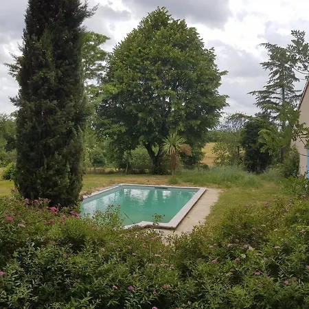 Féline