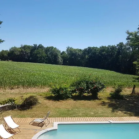 Féline *